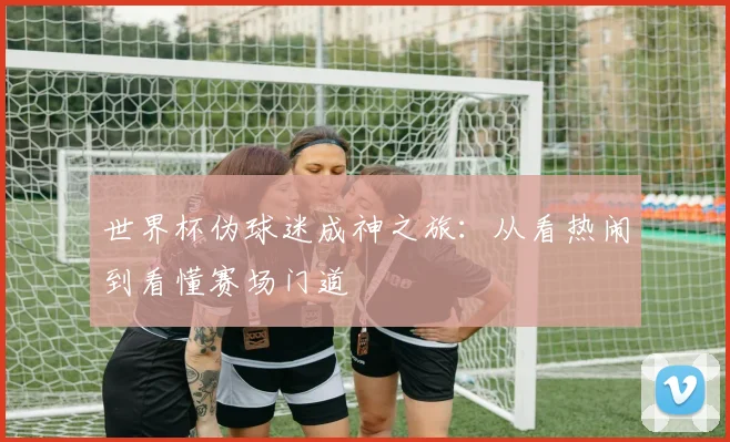 世界杯伪球迷成神之旅：从看热闹到看懂赛场门道