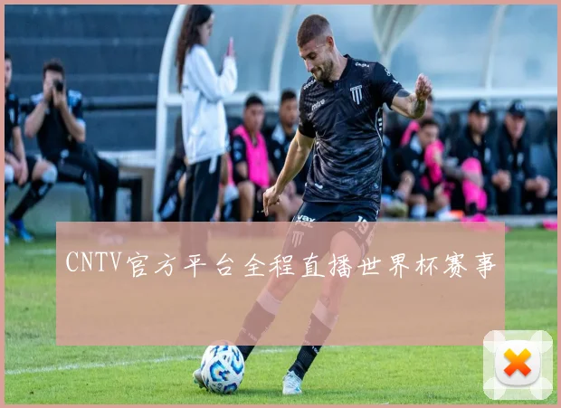CNTV官方平台全程直播世界杯赛事
