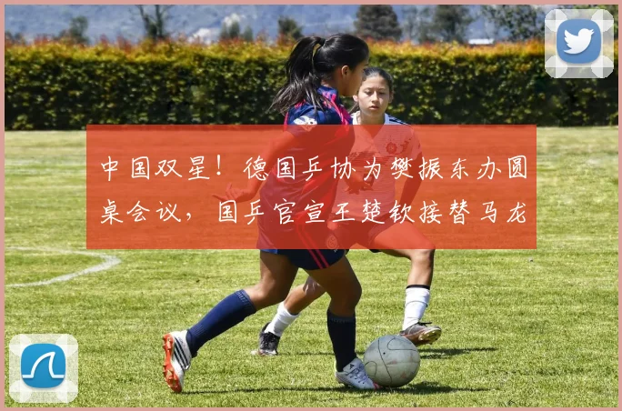 中国双星！德国乒协为樊振东办圆桌会议，国乒官宣王楚钦接替马龙