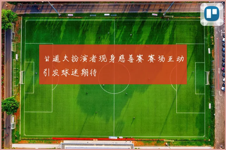 甘道夫扮演者现身慈善赛 赛场互动引发球迷期待