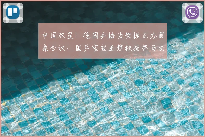 中国双星！德国乒协为樊振东办圆桌会议，国乒官宣王楚钦接替马龙