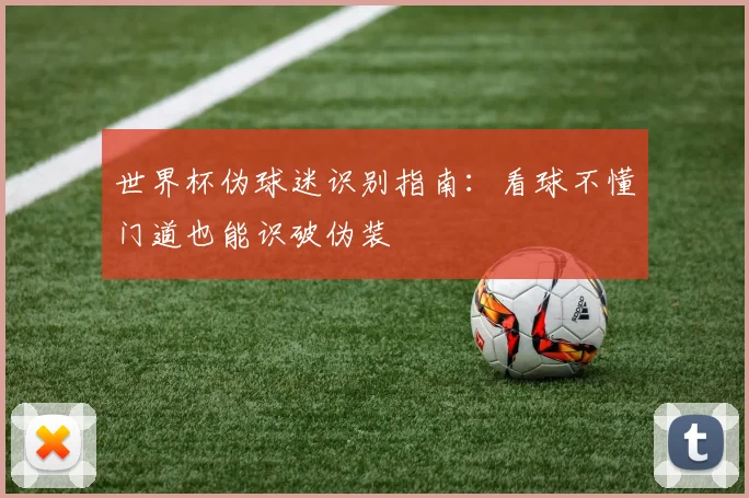 世界杯伪球迷识别指南：看球不懂门道也能识破伪装