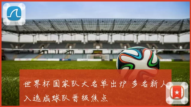 世界杯国家队大名单出炉 多名新人入选成球队晋级焦点