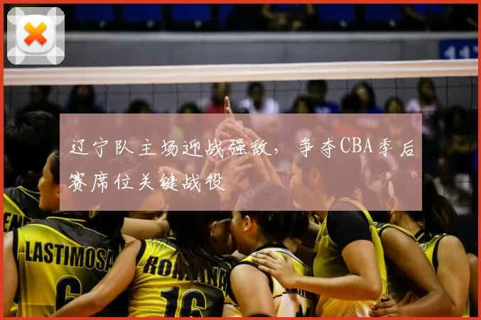 辽宁队主场迎战强敌，争夺CBA季后赛席位关键战役