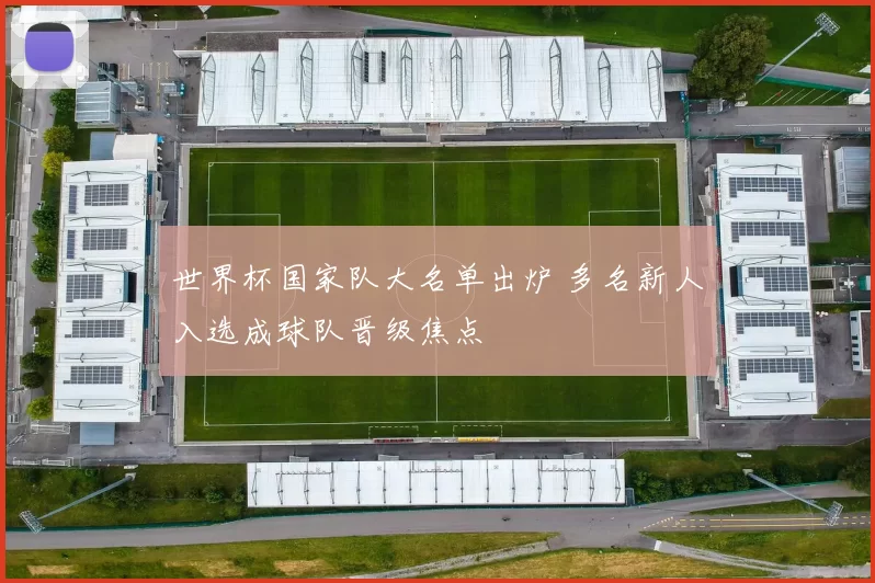 世界杯国家队大名单出炉 多名新人入选成球队晋级焦点