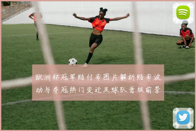 欧洲杯冠军赔付率图片解析赔率波动与夺冠热门变迁及球队晋级前景