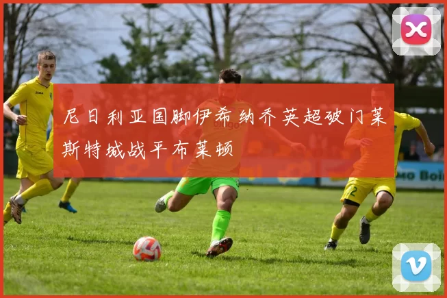 尼日利亚国脚伊希纳乔英超破门莱斯特城战平布莱顿